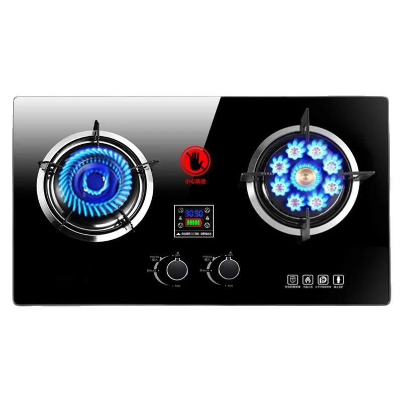 Kitchen Appliances Online - Gas stove with 9-hole dual burner,